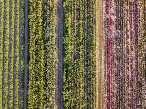 Diagnostics par drone et IA